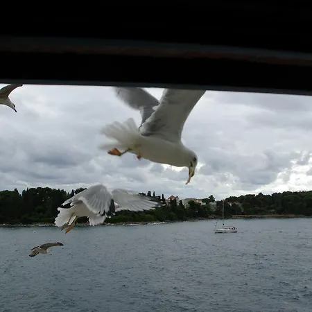 Апартаменты Casa Sul Mar Ровинь